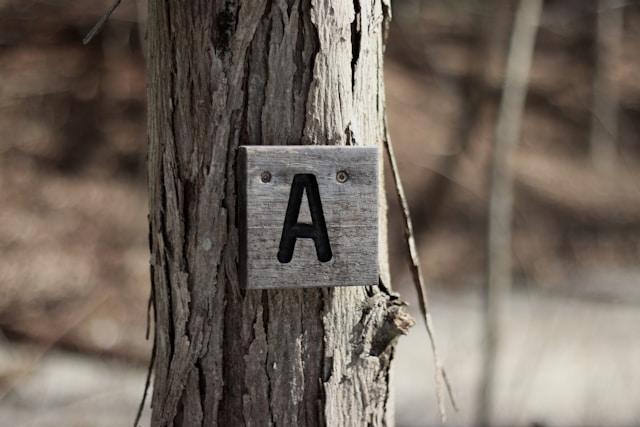 The Letter "A" Attached To a Tree